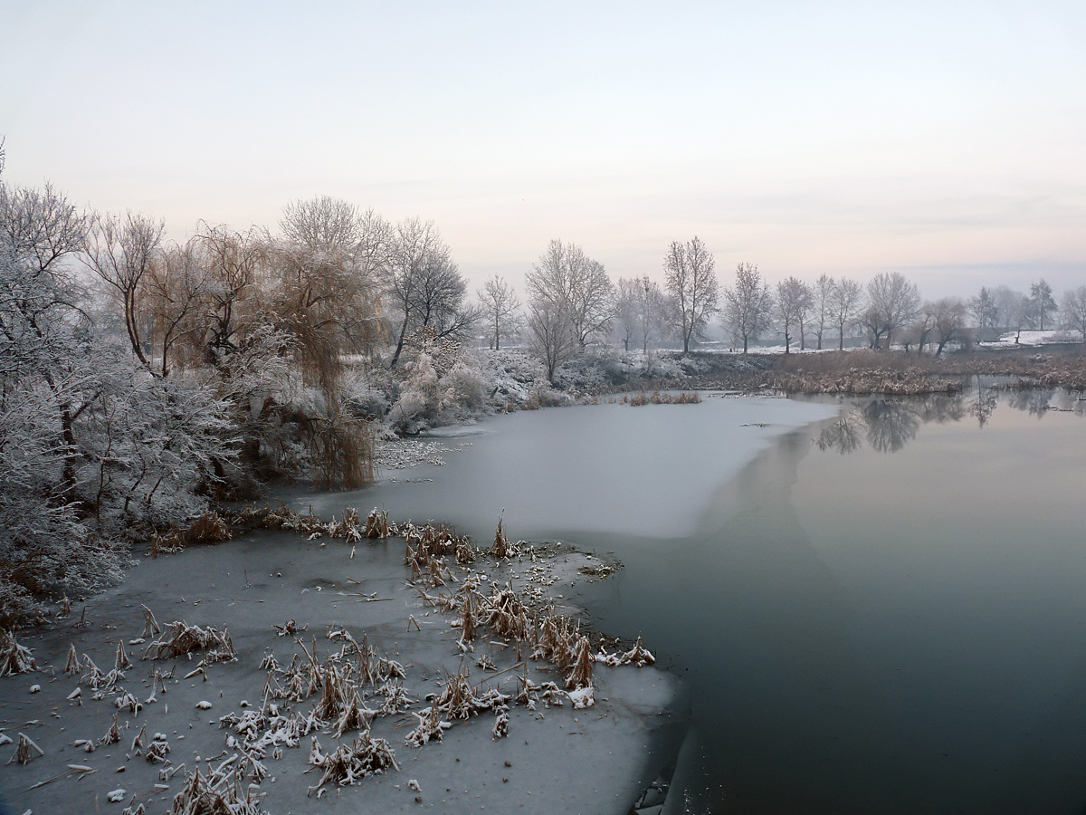 фото "Филигрань" метки: природа, закат, зима