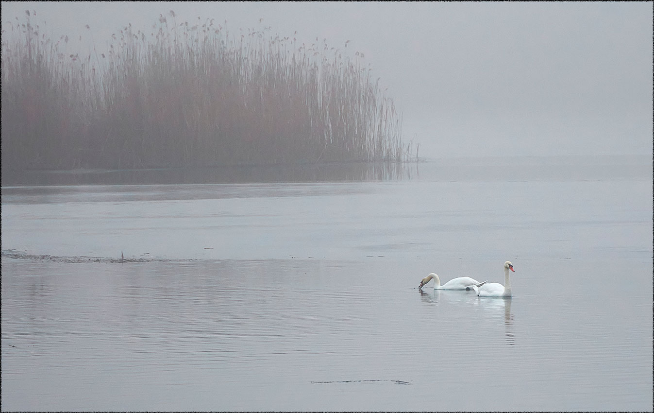 photo "***" tags: landscape, 