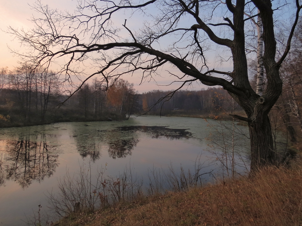 photo "Path along the pond (2)" tags: landscape, 