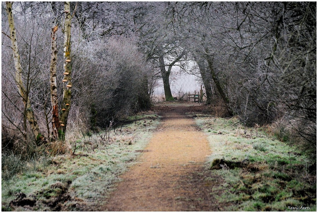 photo "***" tags: landscape, nature, 