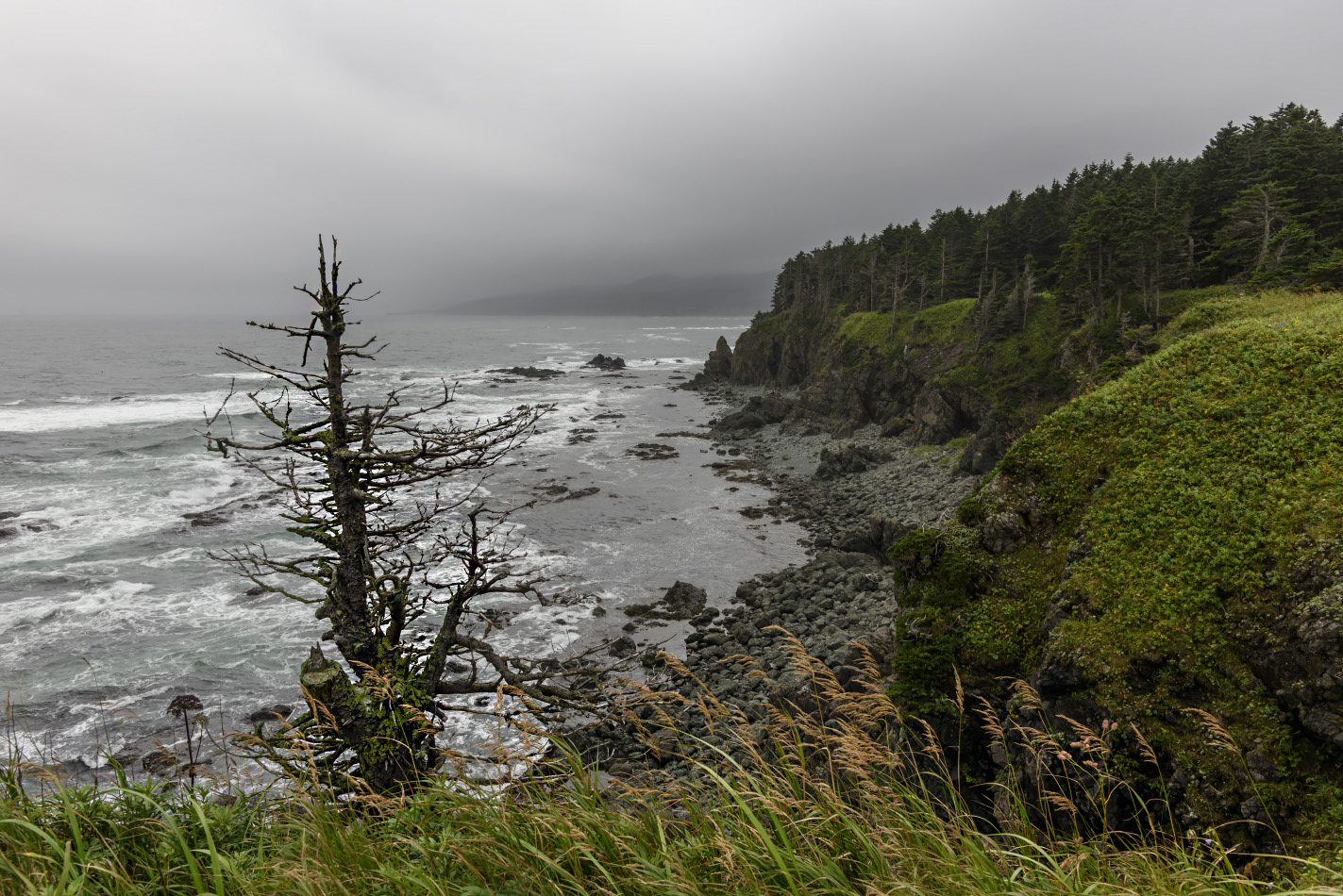 photo "***" tags: landscape, travel, island, sea, summer, Сахалин, путешествие