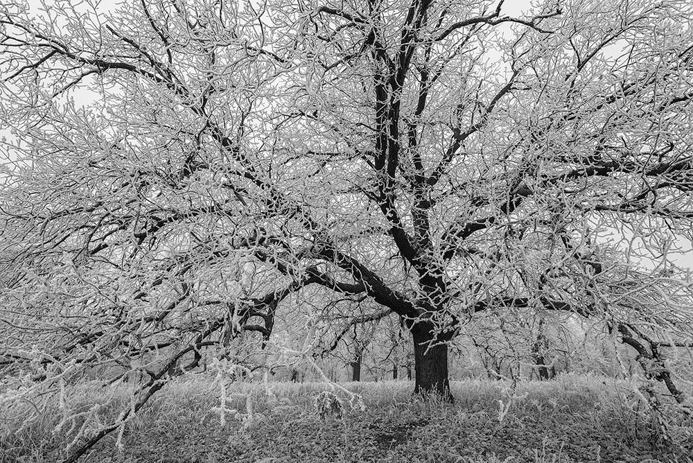 photo "***" tags: landscape, black&white, 