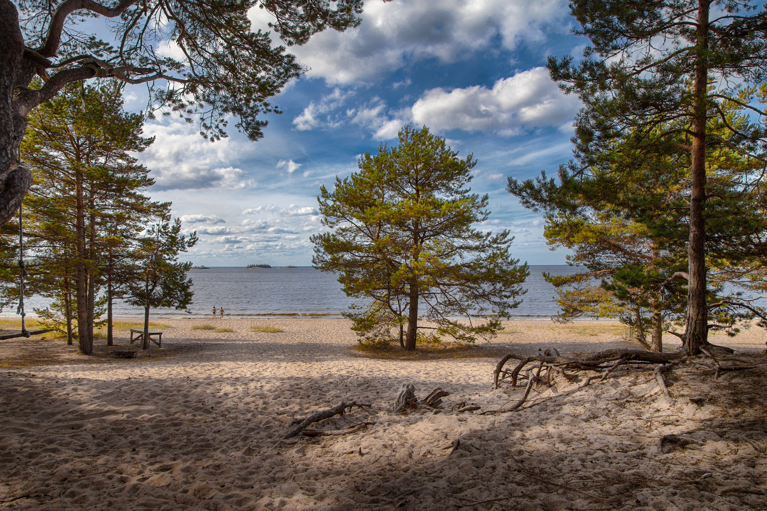 фото "На берегу озера" метки: пейзаж, 