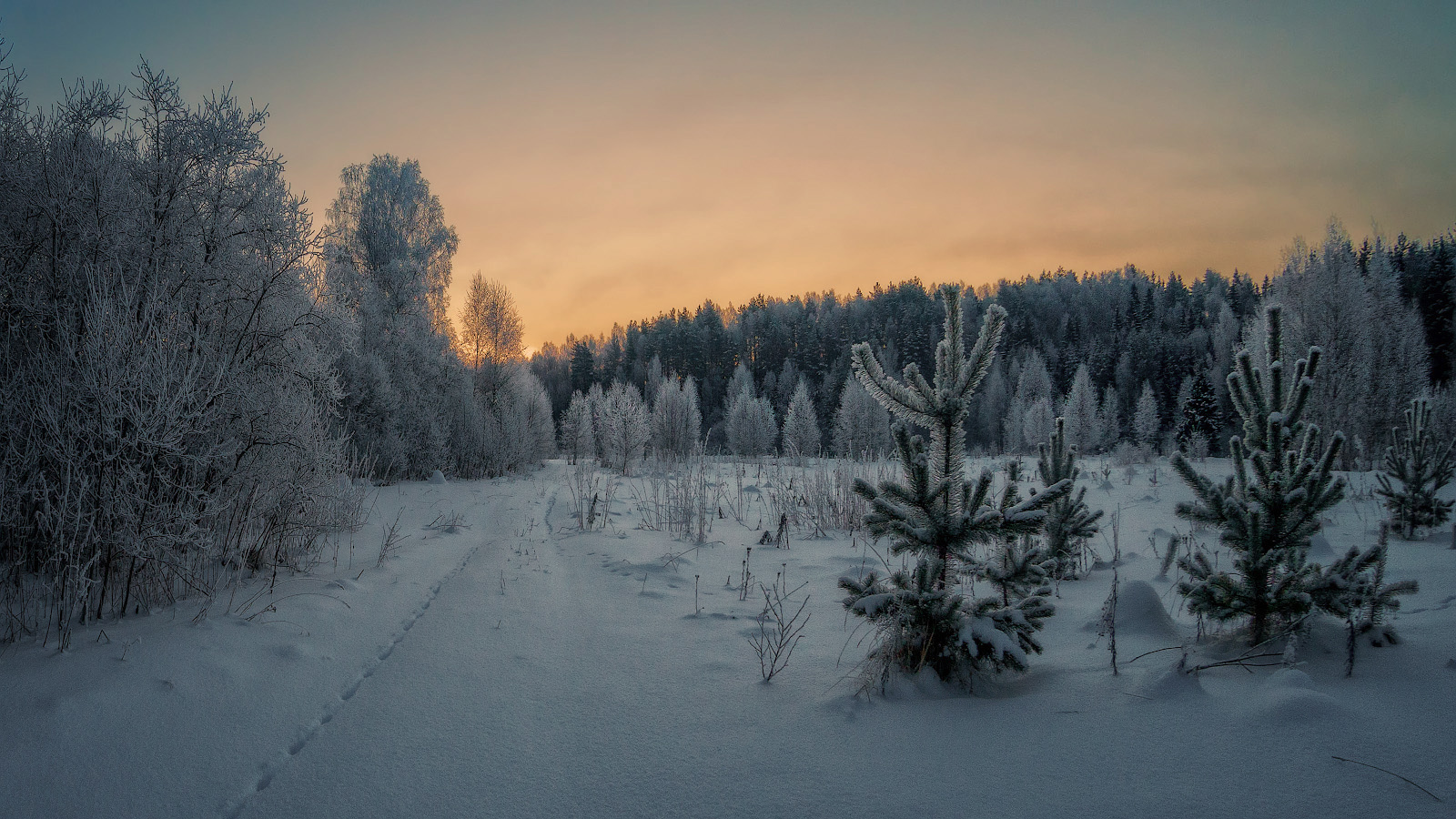 фото "...по следам" метки: природа, пейзаж, 