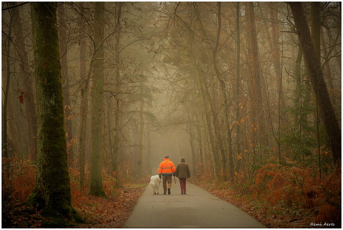 photo "***" tags: landscape, nature, street, 