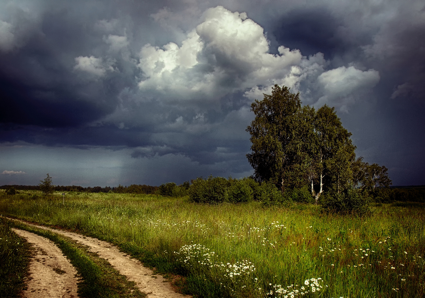 photo "***" tags: landscape, birches, clouds, field, flowers, road, summer, гроза, грозовые, перед грозой, сельский пейзаж, тучи