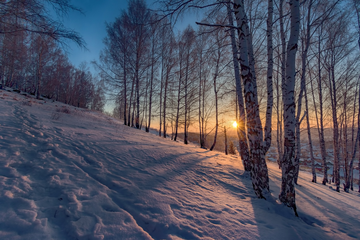 фото "В утренних лучах" метки: пейзаж, 