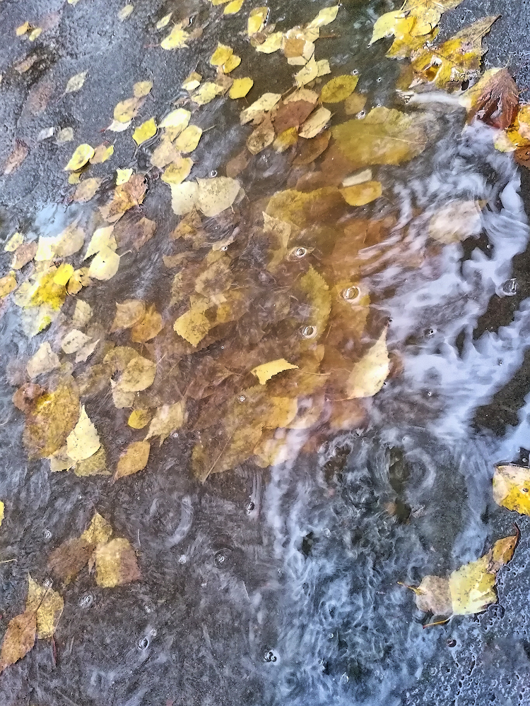 photo "***" tags: abstract, nature, street, autumn, rain, Мобильная фотография, листья, лужа, фото с телефона