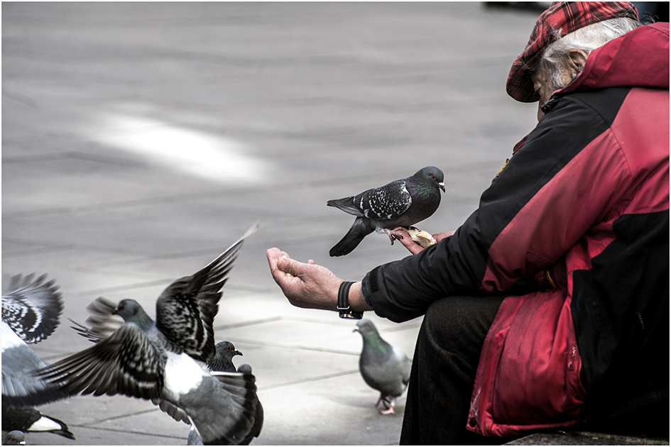 photo "игра голубей ..." tags: street, reporting, city, 