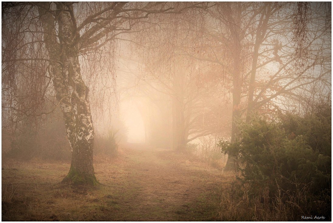 photo "***" tags: landscape, nature, 