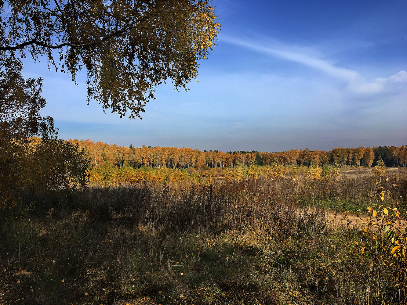 photo "For mushrooms" tags: landscape, nature, misc., Europe, autumn, clouds, field, flowers, forest, reflections, road, summer