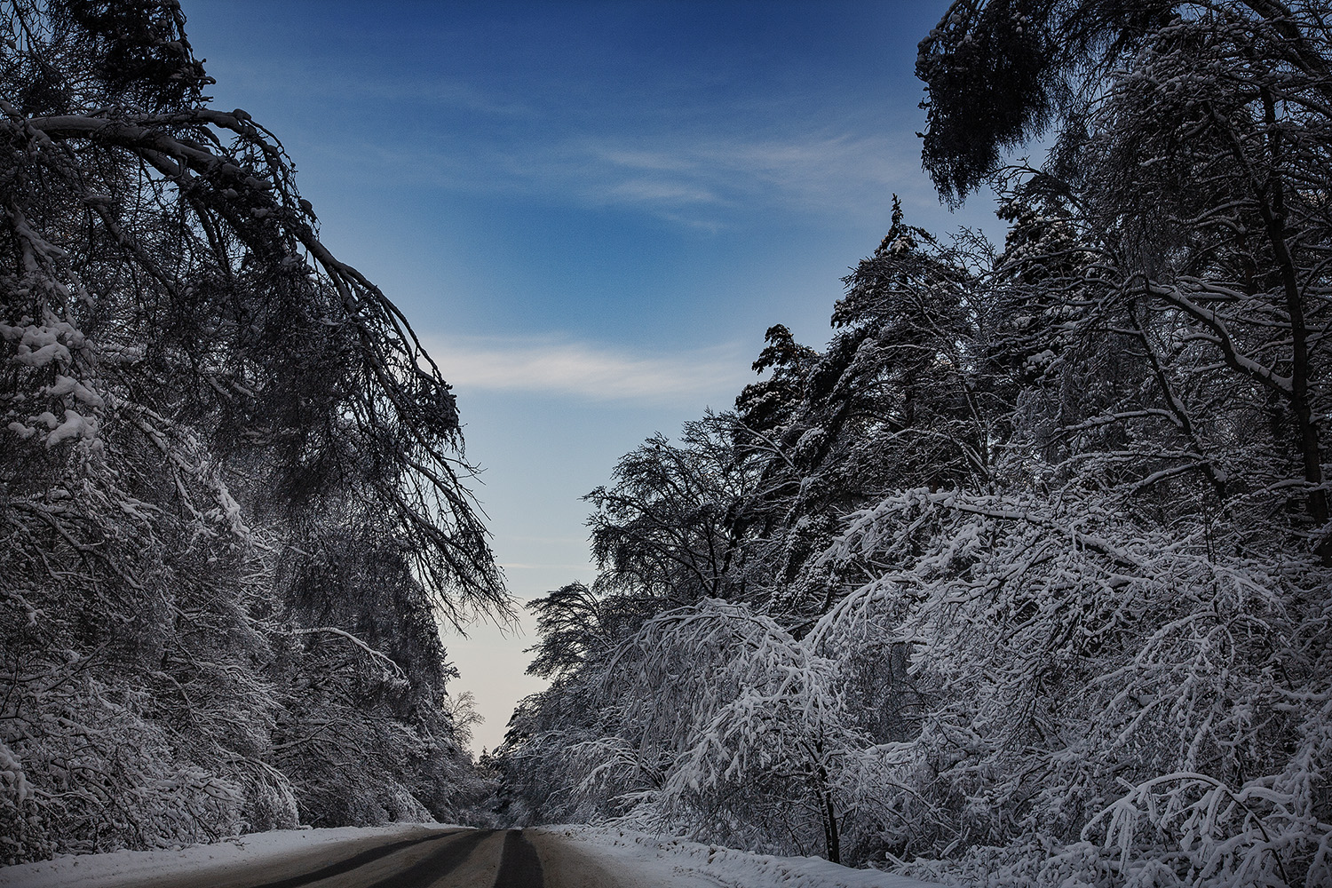 photo "Winter road" tags: landscape, nature, misc., forest, winter