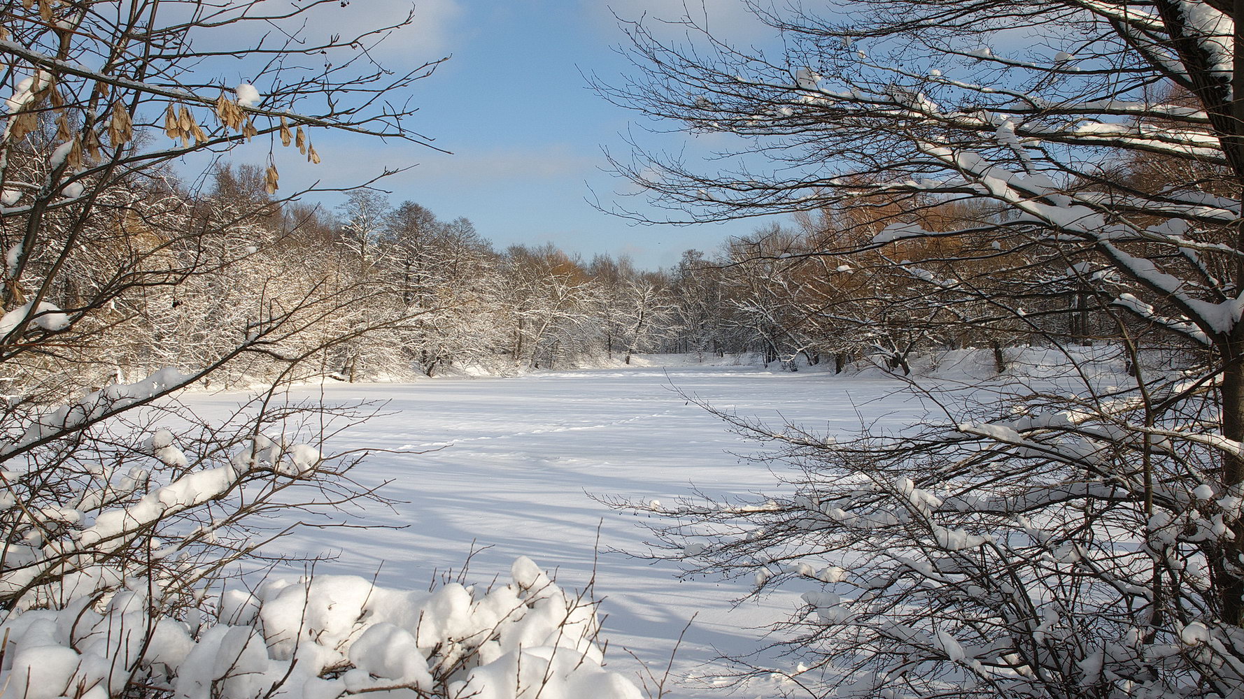 photo "***" tags: landscape, nature, 