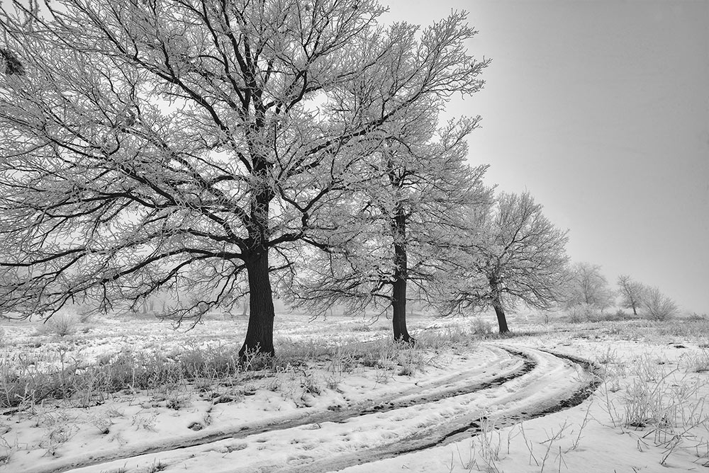 фото "***" метки: черно-белые, 