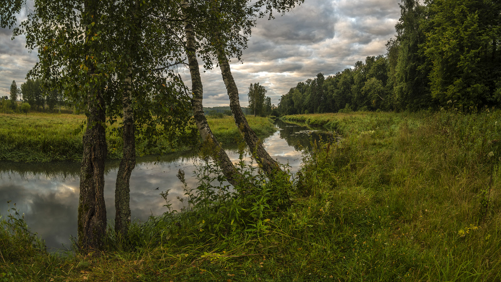 фото "август" метки: природа, пейзаж, 