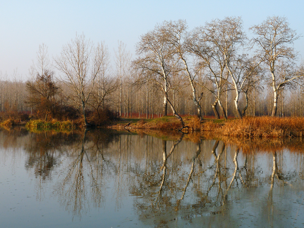 photo "***" tags: landscape, water