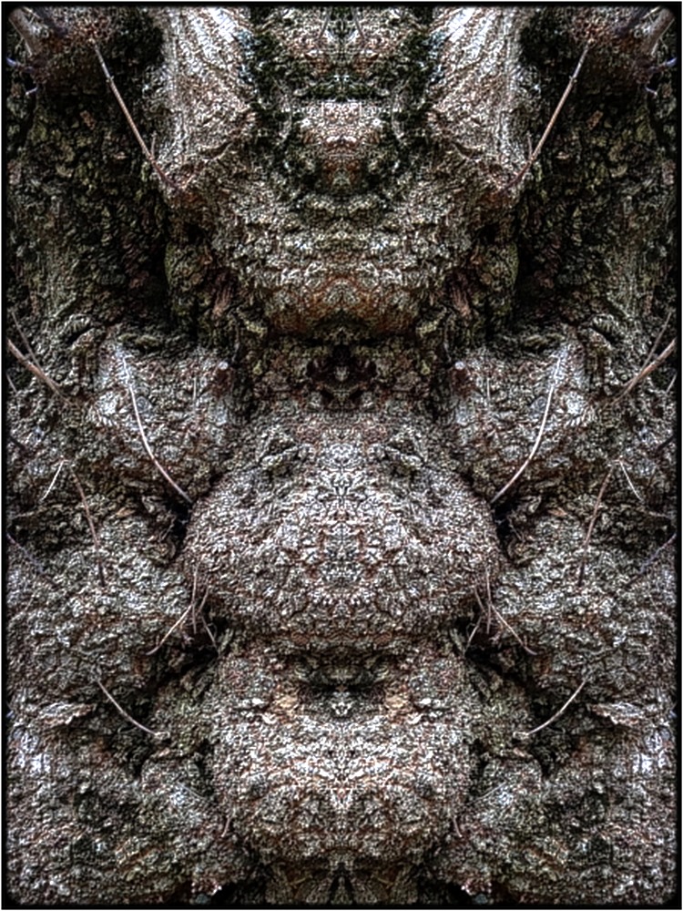 photo "the pregnant monster" tags: digital art, nature, bark, close-up, mirror, tree