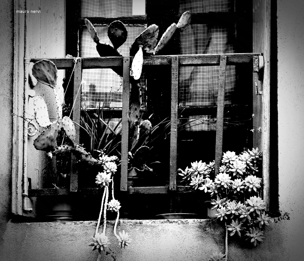 photo "window" tags: black&white, 