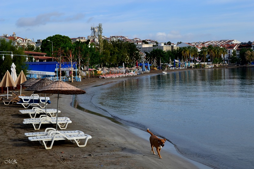 photo "yaz'a doğru" tags: nature, yaza doğru....datça sahili/muğ