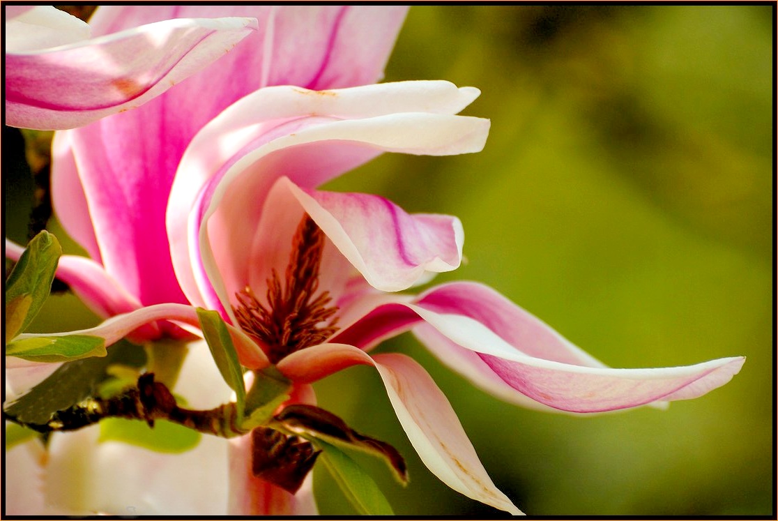 фото "***" метки: , 