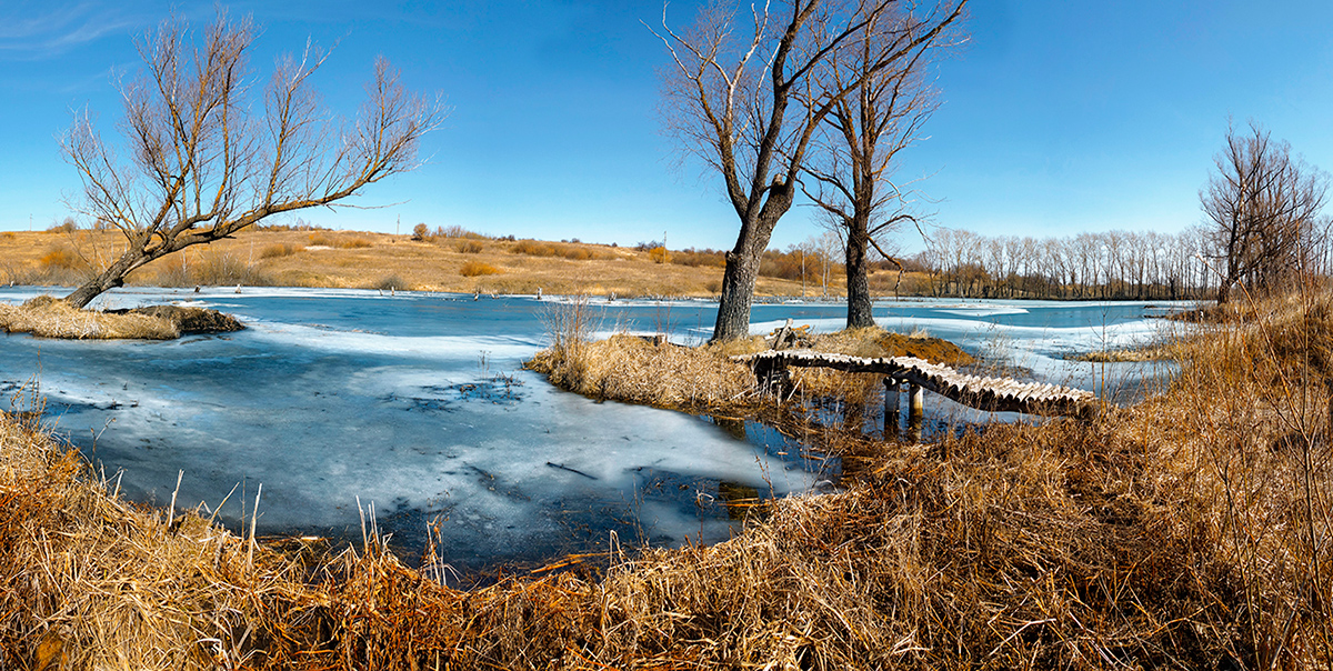 photo "***" tags: landscape, spring