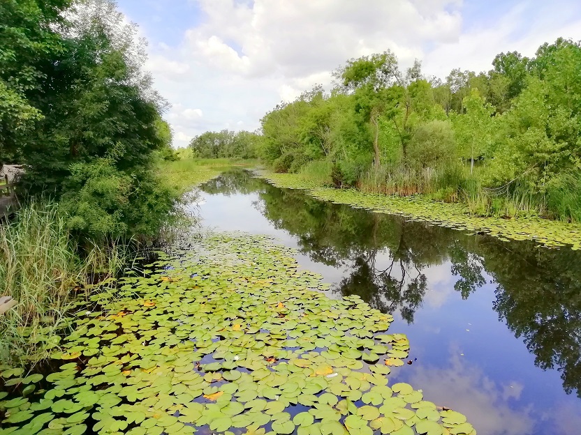 фото "nature ıs lıve.." метки: , 