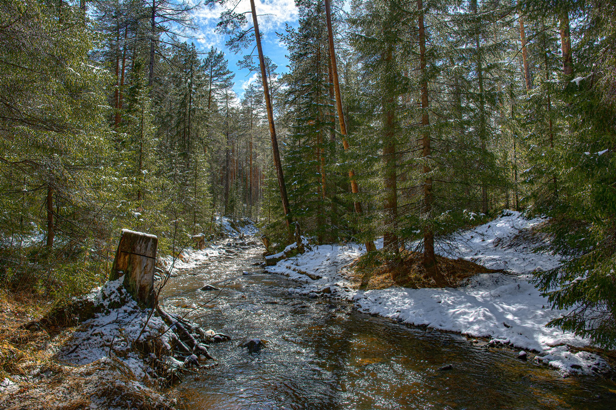 фото "Весенняя пора" метки: пейзаж, 