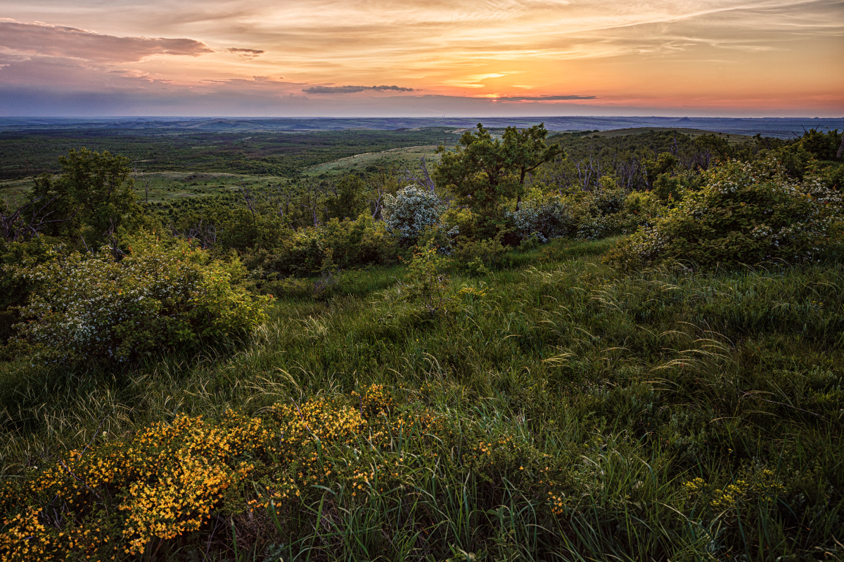 фото "Донецкий кряж" метки: пейзаж, природа, Донецкий кряж, вечер, деревья, закат, облака, трава