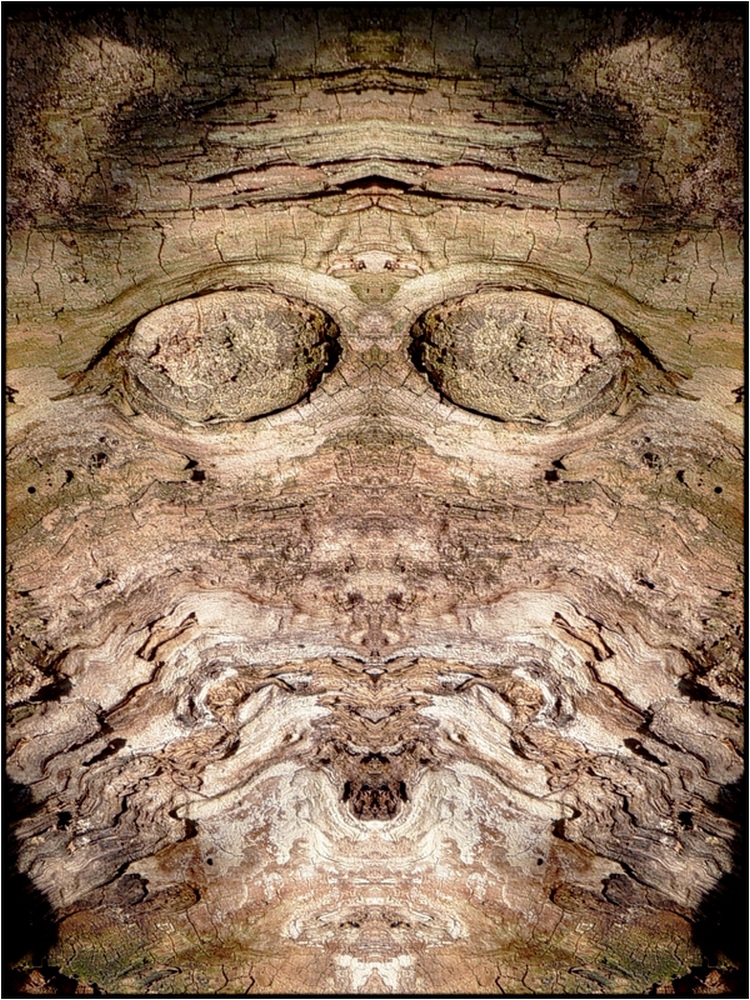 photo "blind devil" tags: digital art, nature, macro and close-up, bark, close-up, mirror, tree