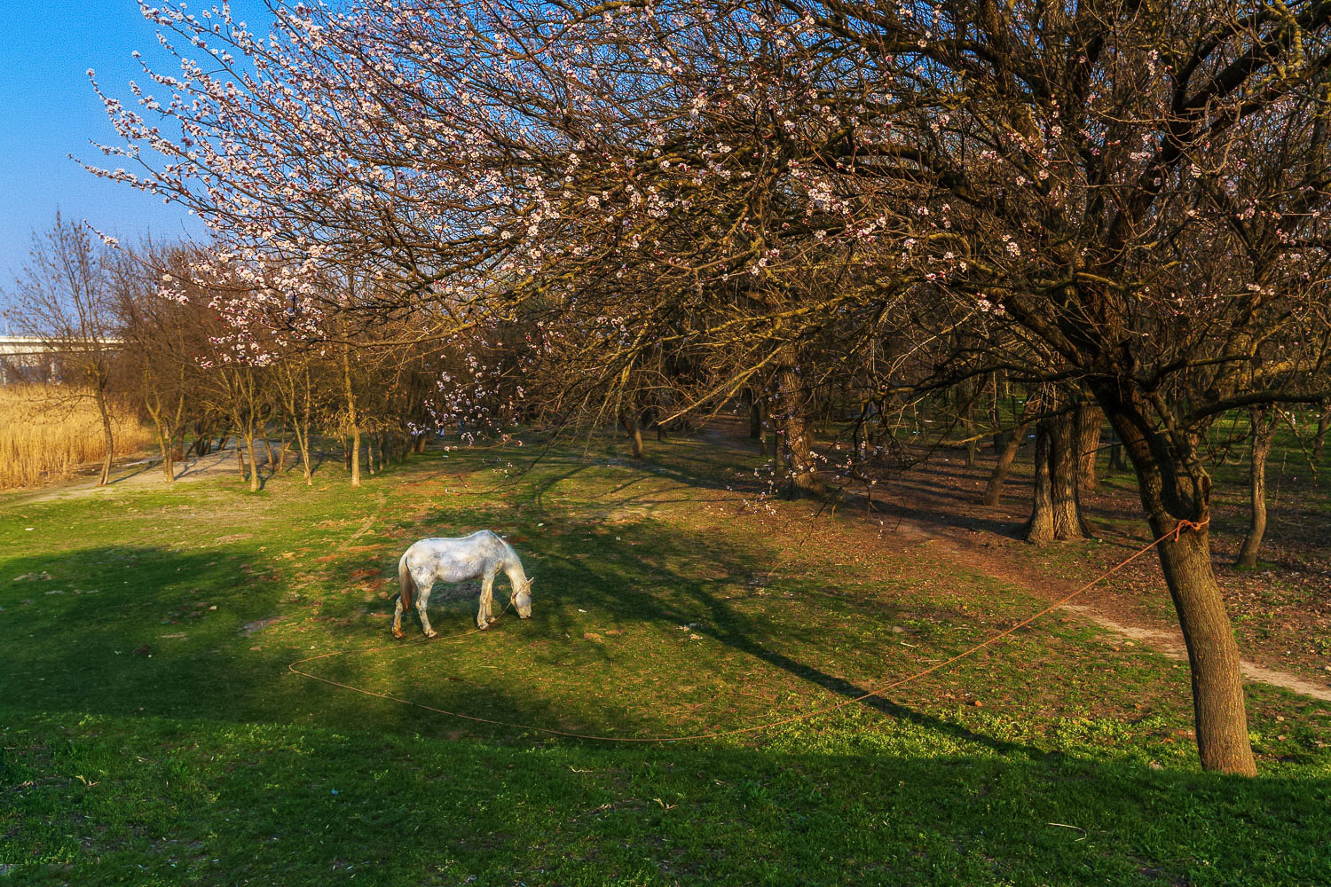 photo "***" tags: landscape, nature, 