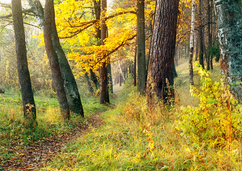 photo "***" tags: nature, 