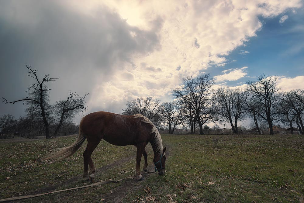 photo "***" tags: landscape, 