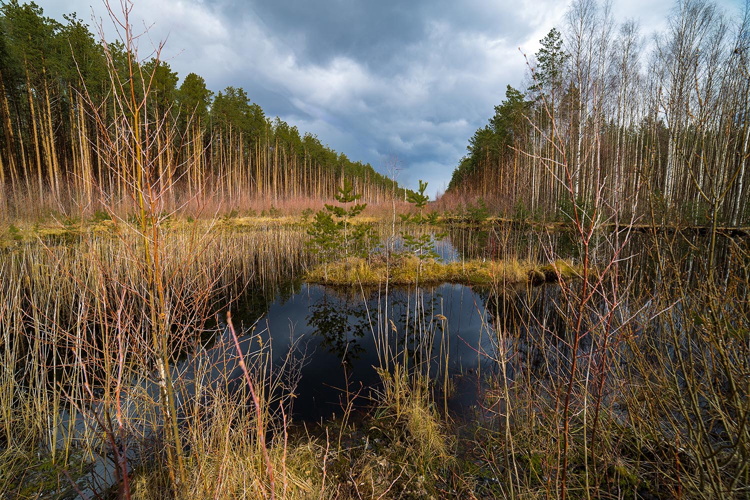 фото "..." метки: , 