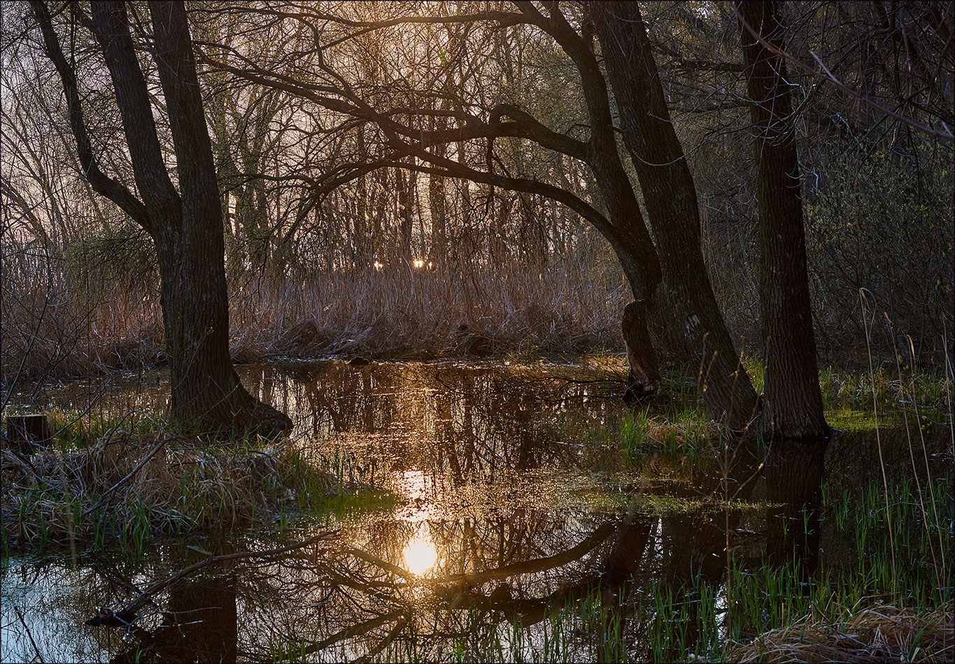photo "***" tags: landscape, 