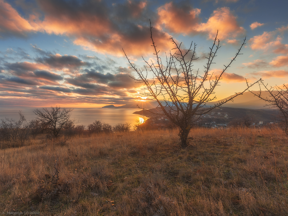 photo "***" tags: landscape, nature, Crimea, winter