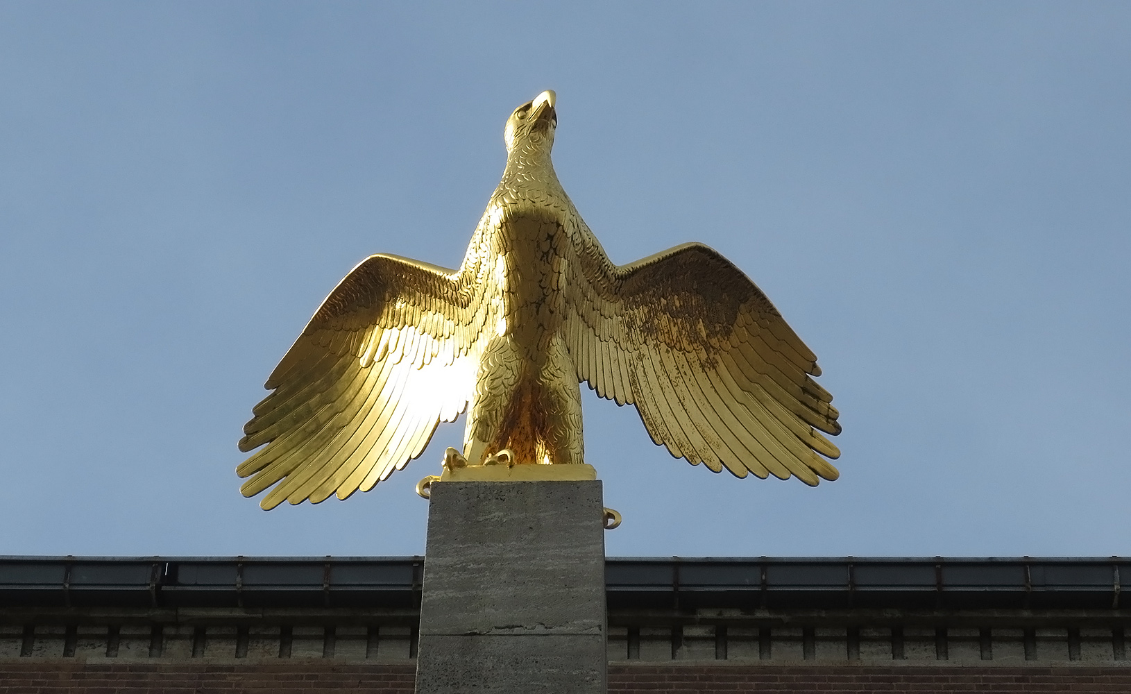 Золотой орел 2. Золотой Орел 2023. Золотой Орел премия логотип. Золотистый Орел. Орел из золота.