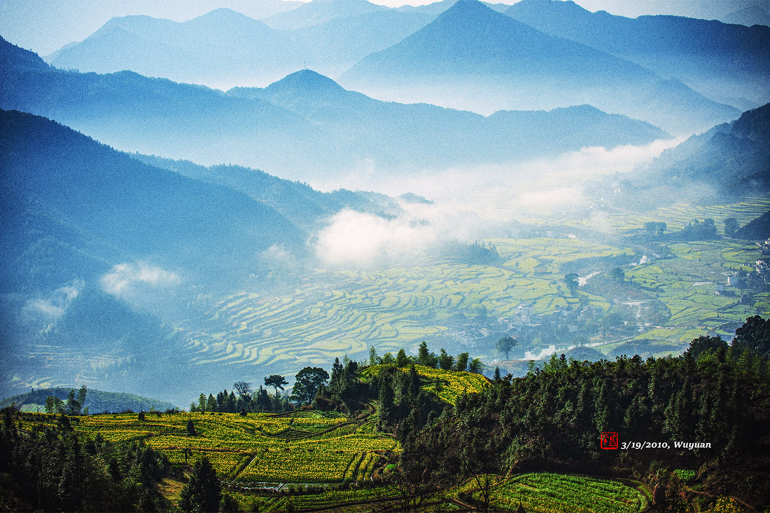 фото "Mountain vapor and grove upon grove of green trees" метки: пейзаж, 