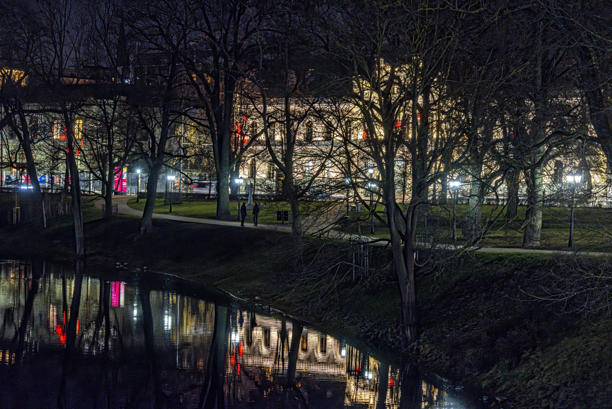 photo "Overlapping Branches" tags: landscape, 