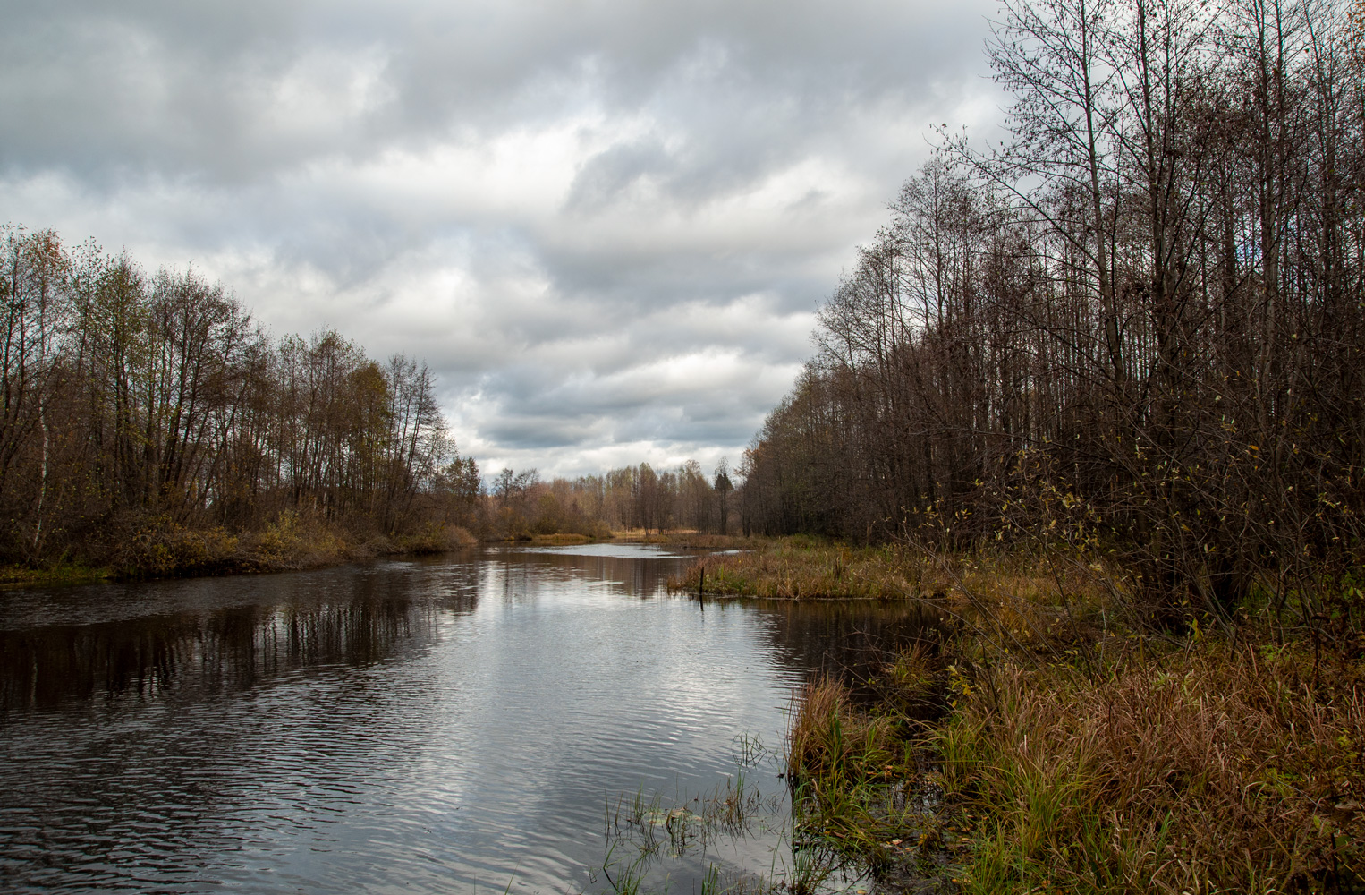 photo "***" tags: landscape, nature, travel, 