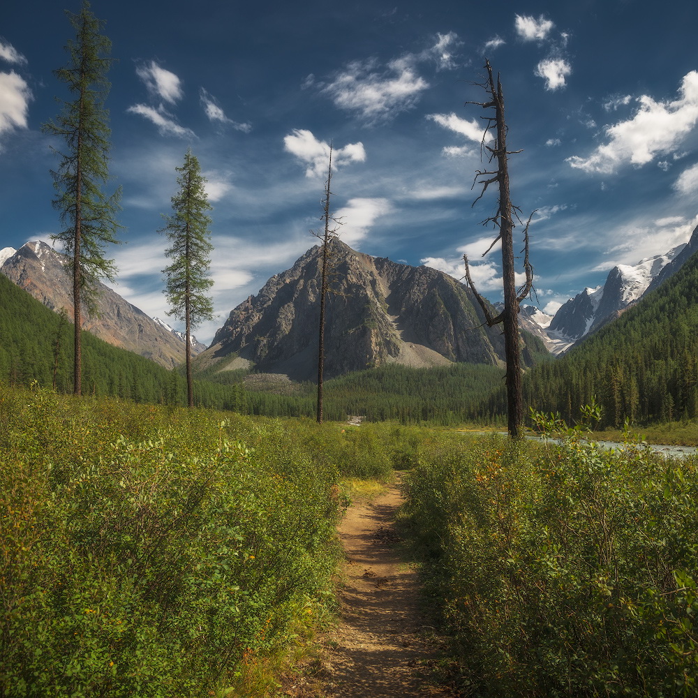 photo "***" tags: landscape, nature, mountains, Алтай