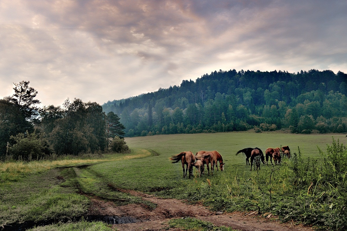 фото "***" метки: пейзаж, 