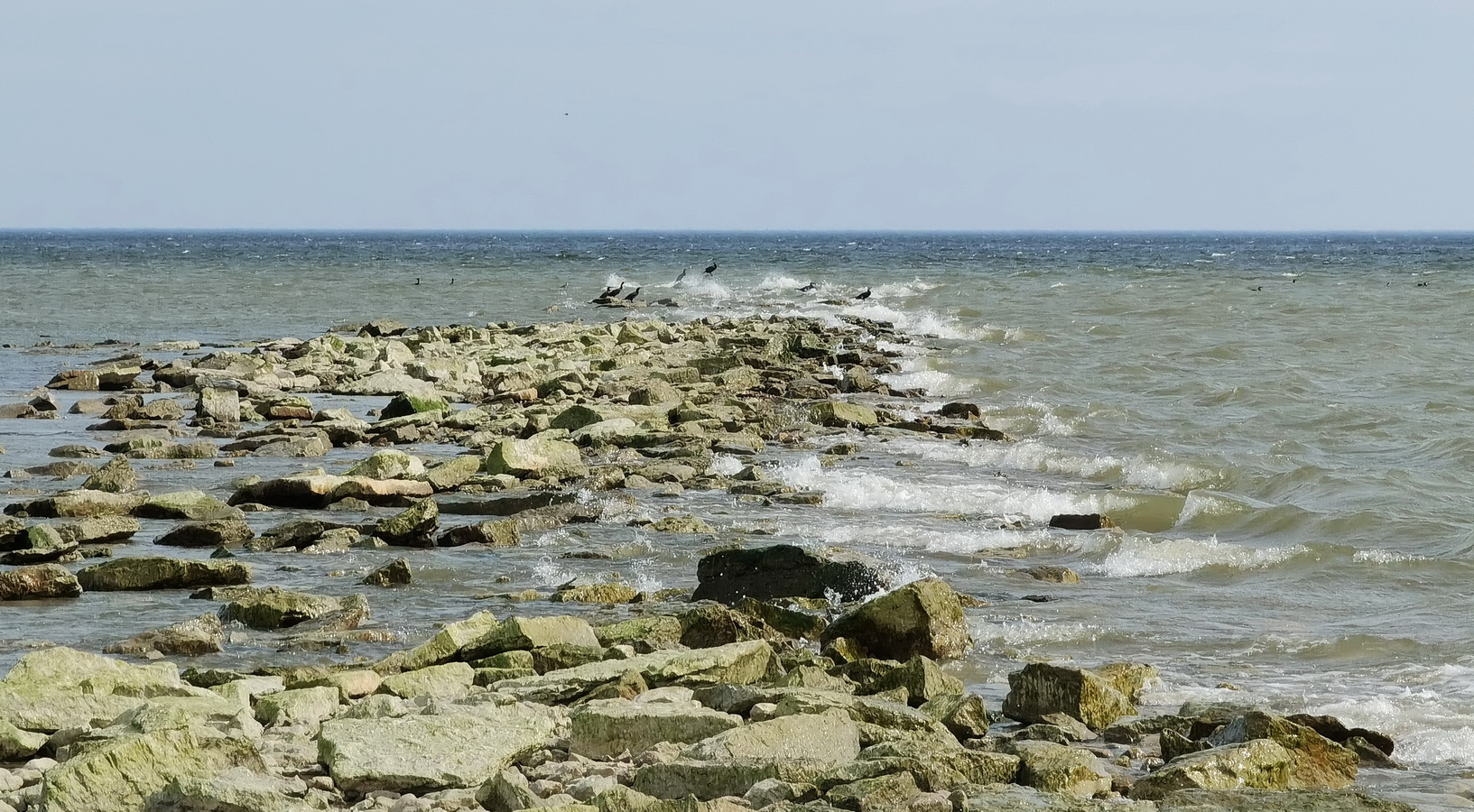 photo "Self-isolation. Old Dam in Azeri. Estonia" tags: travel, 