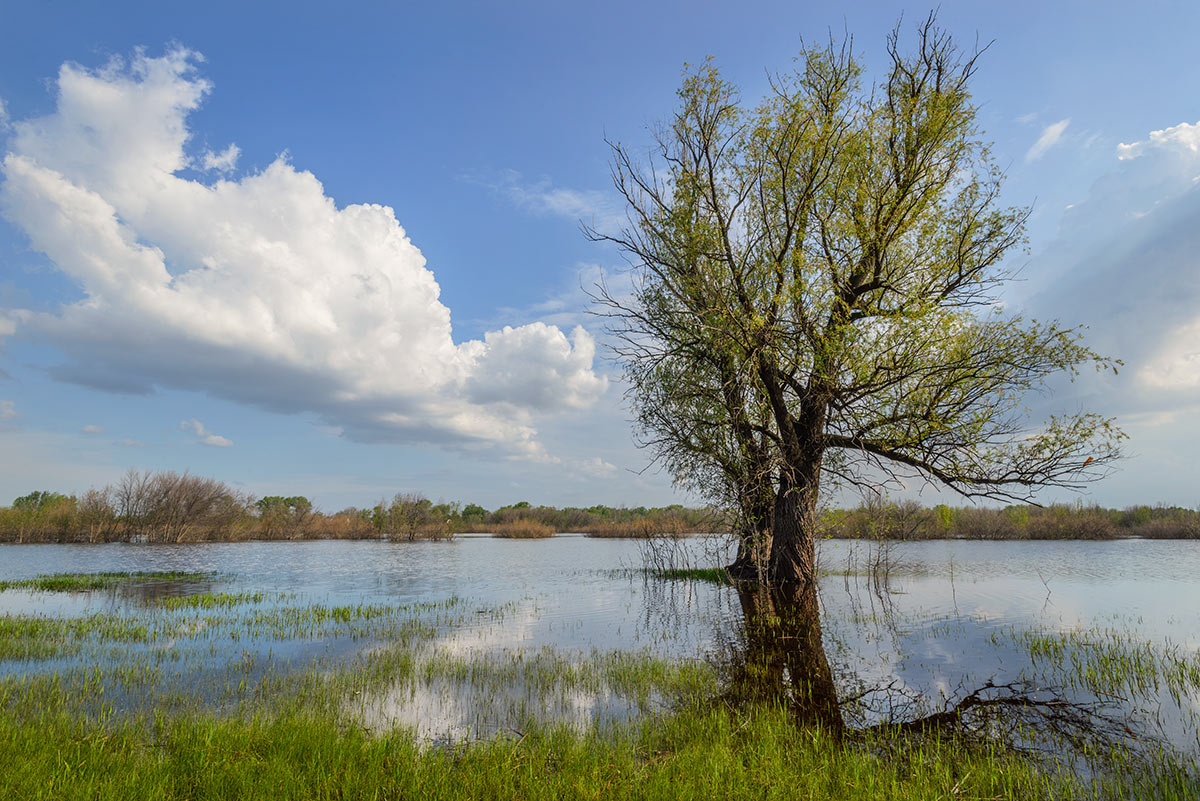 photo "***" tags: landscape, 