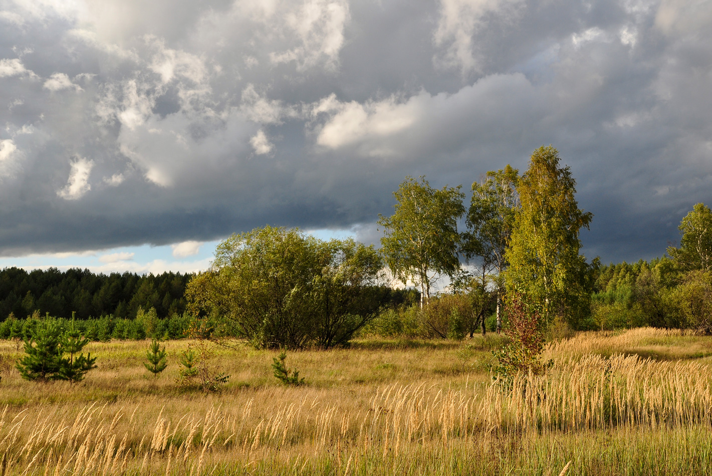 photo "***" tags: landscape, nature, travel, 