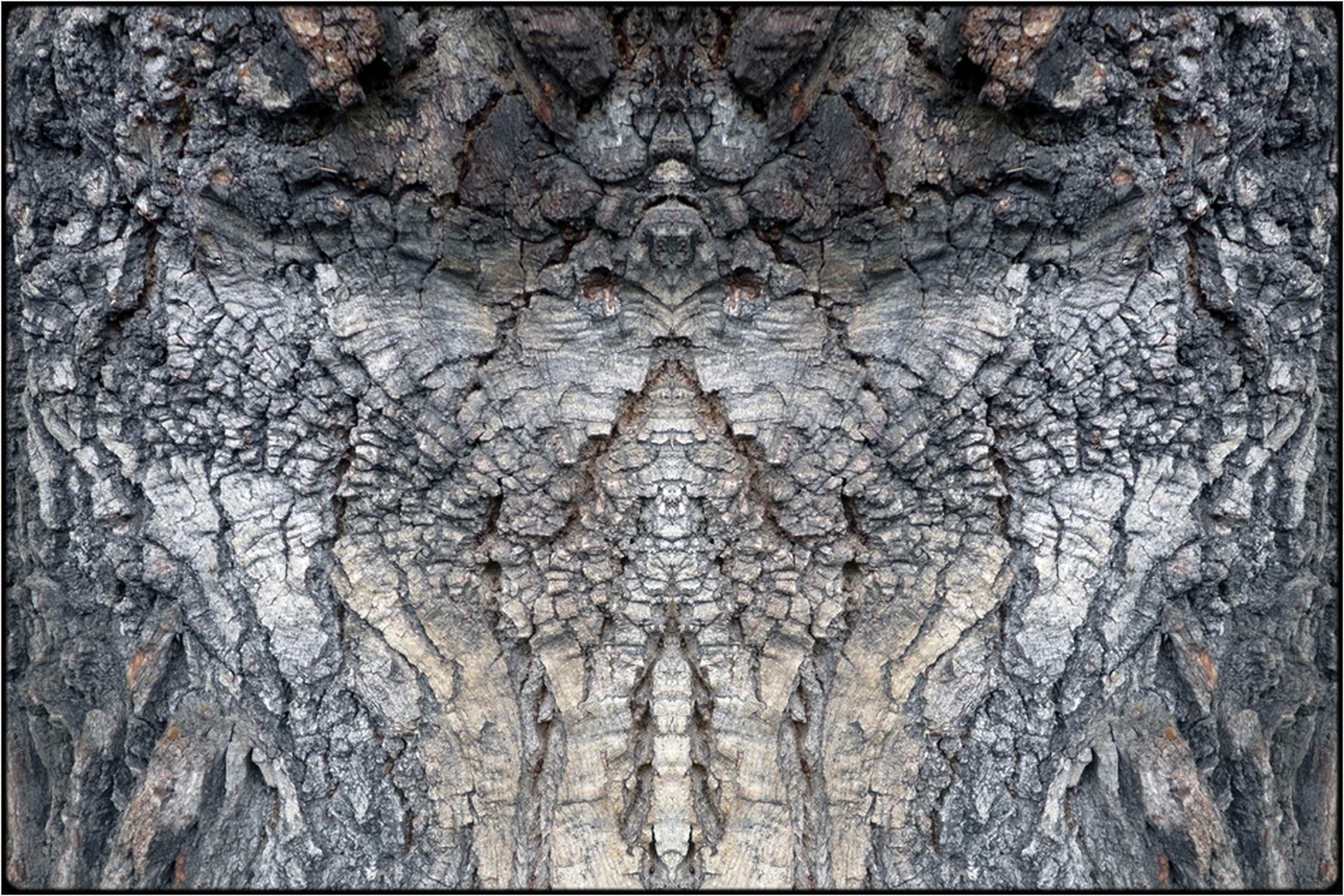 photo "the eagle-tree" tags: digital art, nature, macro and close-up, bark, close-up, mirror, still, tree