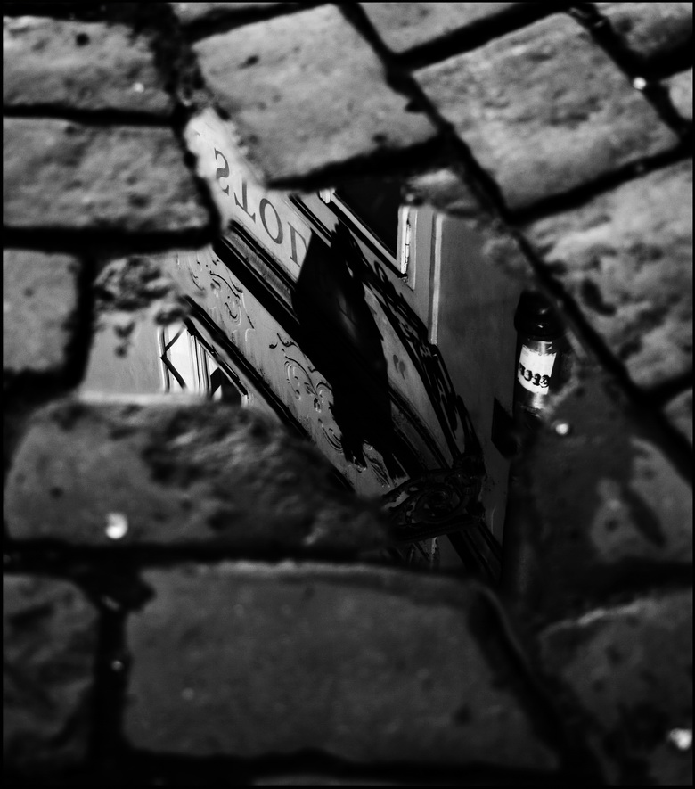 photo "Тень в луже" tags: black&white, Prag, Prague, Praha