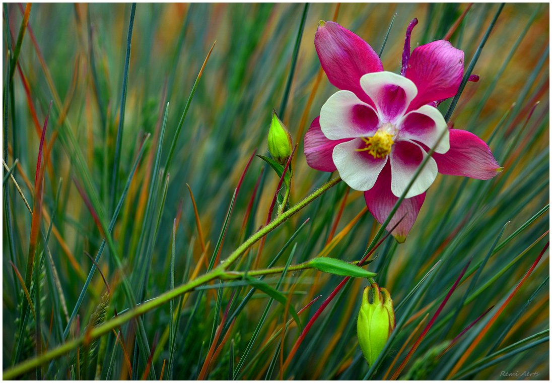 фото "***" метки: , 