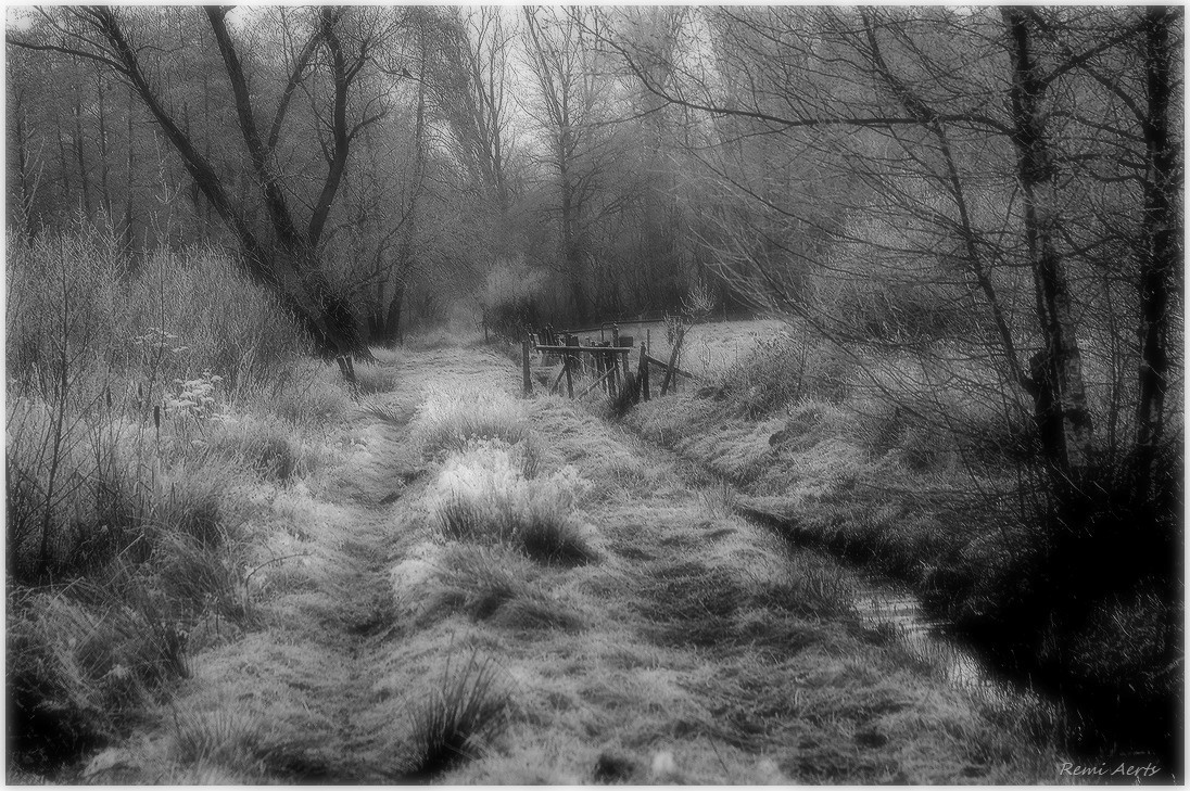 photo "***" tags: landscape, nature, black&white, 