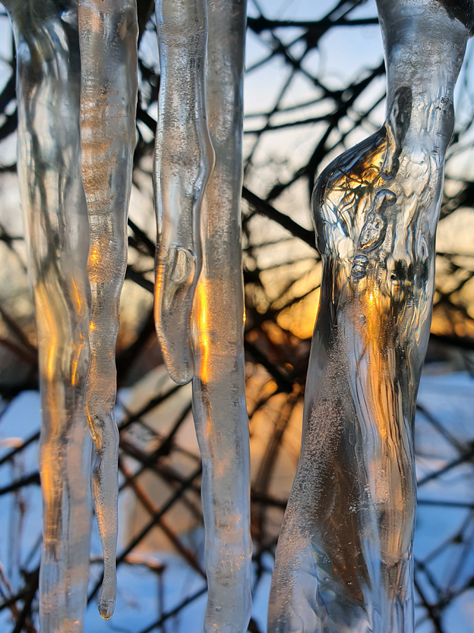 photo "***" tags: macro and close-up, 