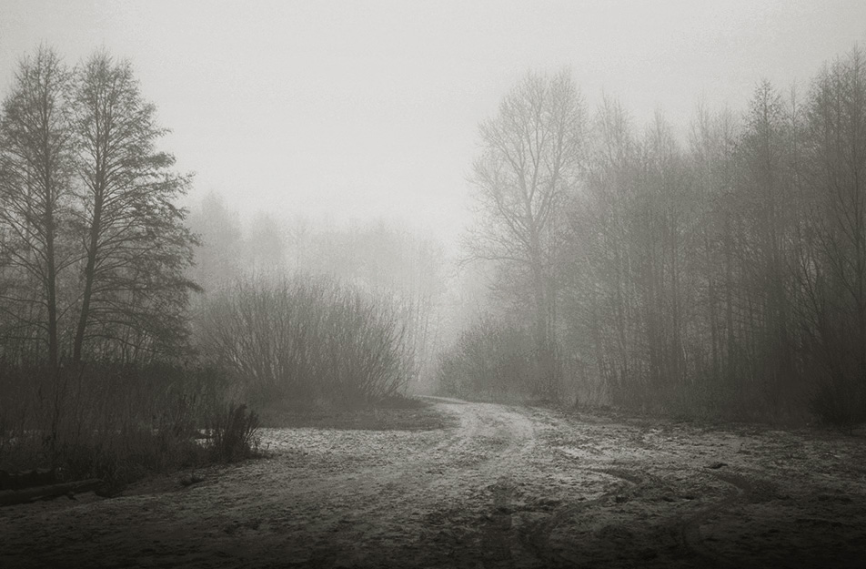 photo "***" tags: landscape, fog